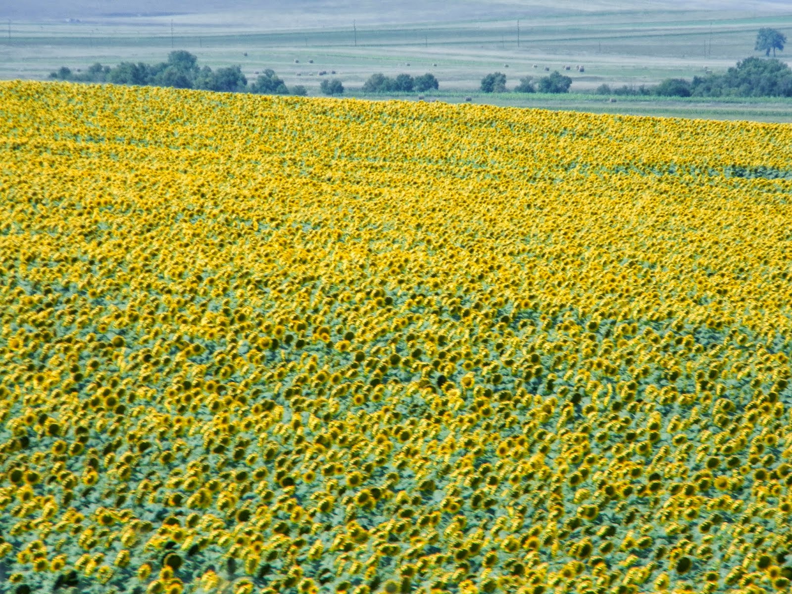Awakenings: North Dakota: Somewhere Along the Highway