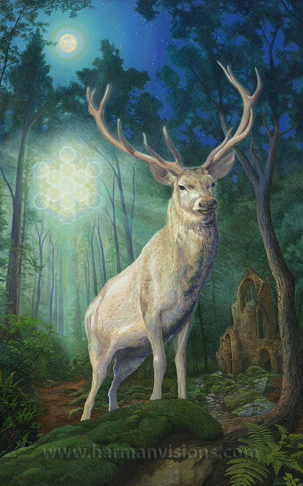The Oak And The Antler Spirit Of The Forest The White Stag the-oak-and-the-antler-spirit-of-the-forest-the-white-stag