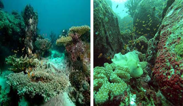 Weh island diving Weh island points of interest