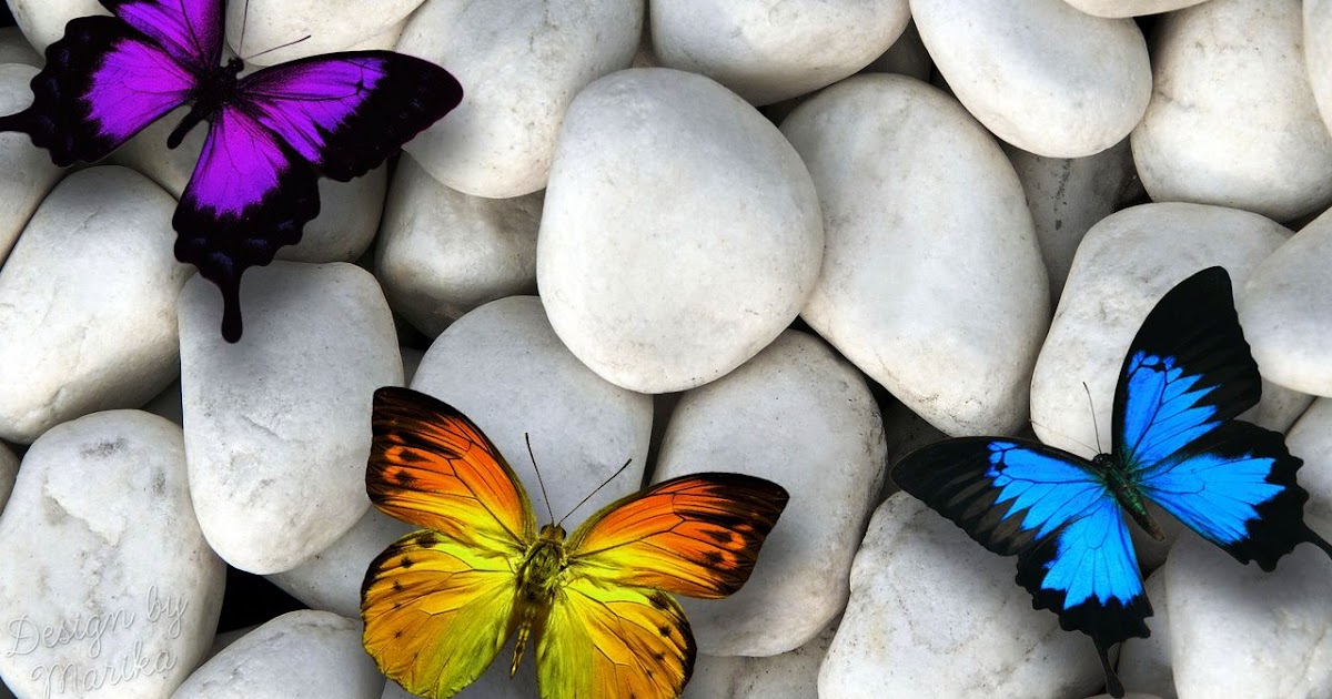 Free Beautiful Nature 3d Hd Images And Photos Wallpapers For