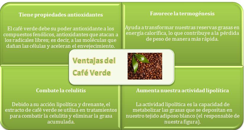 Comercio Internacional Café Verde