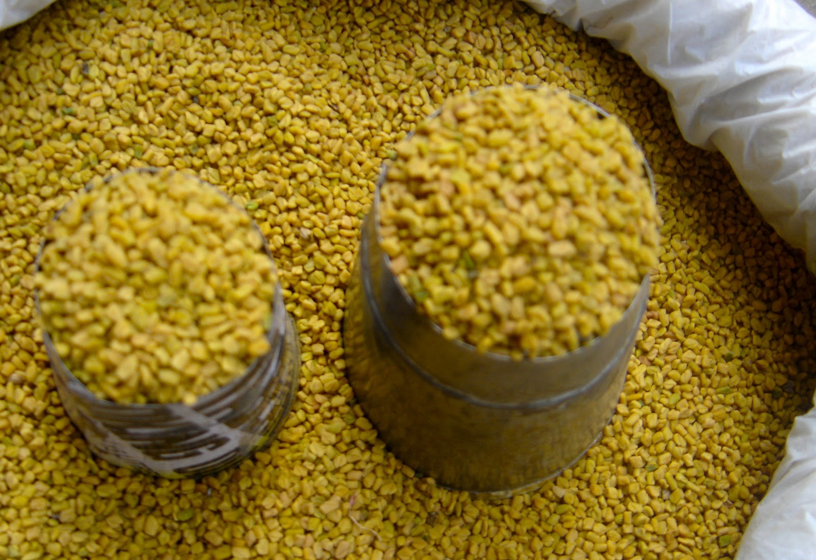 Taste of Nepal Fenugreek Seeds Methi ko Geda (मेथी)