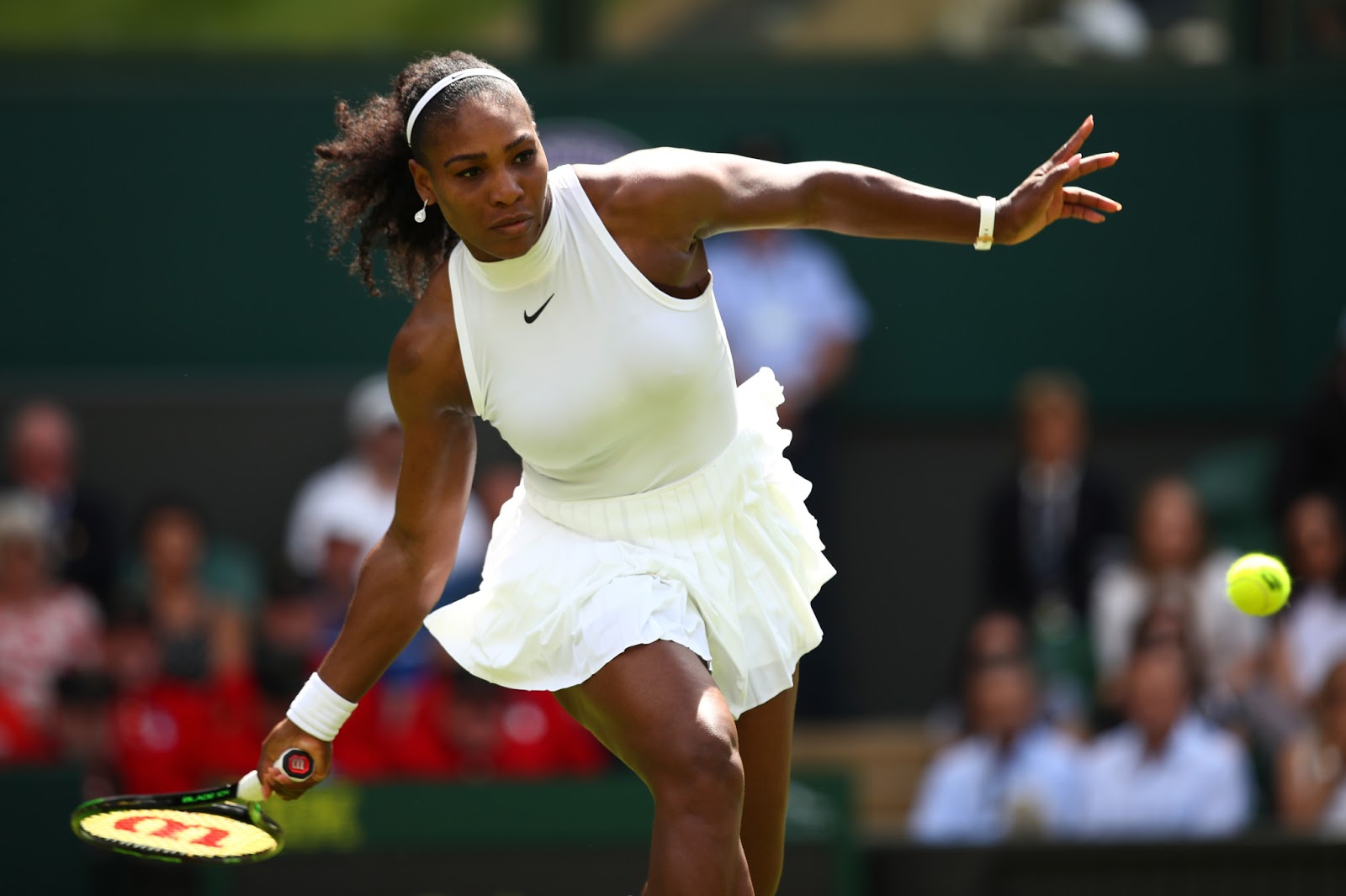 Journey to the Heart of Wimbledon