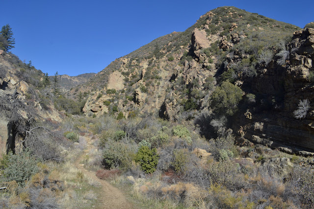 mouth of the canyon