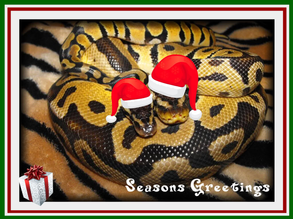 POTIONSMITH Santa Snakes & Snails and Cat O' Nine Tails