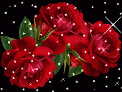 animasi bunga mawar