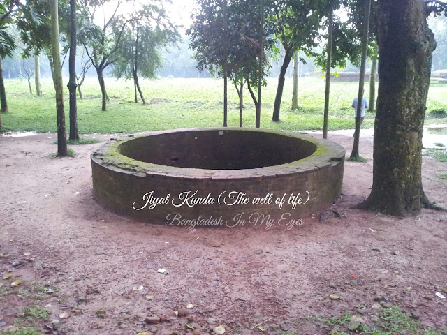 The well of life