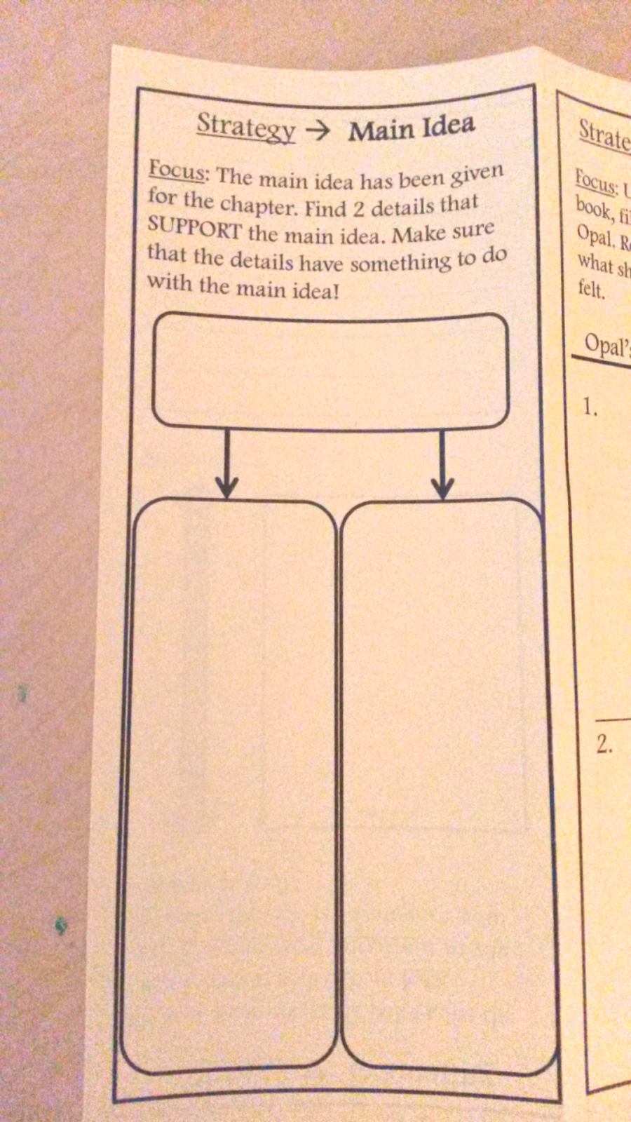 Teaching Takes the Cake: Because of Winn-Dixie Literary Celebration