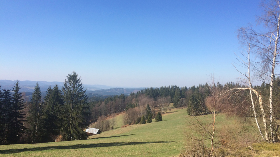Obrázek