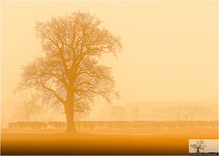 Emerging Photographers, Best Photo of the Day in Emphoka by Robert Felton Emerging Photographers, Best Photo of the Day in Emphoka by Robert Felton