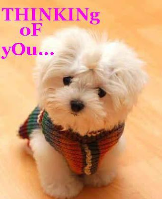 All photos gallery Thinking of you quotes, thinking of you quotes for him