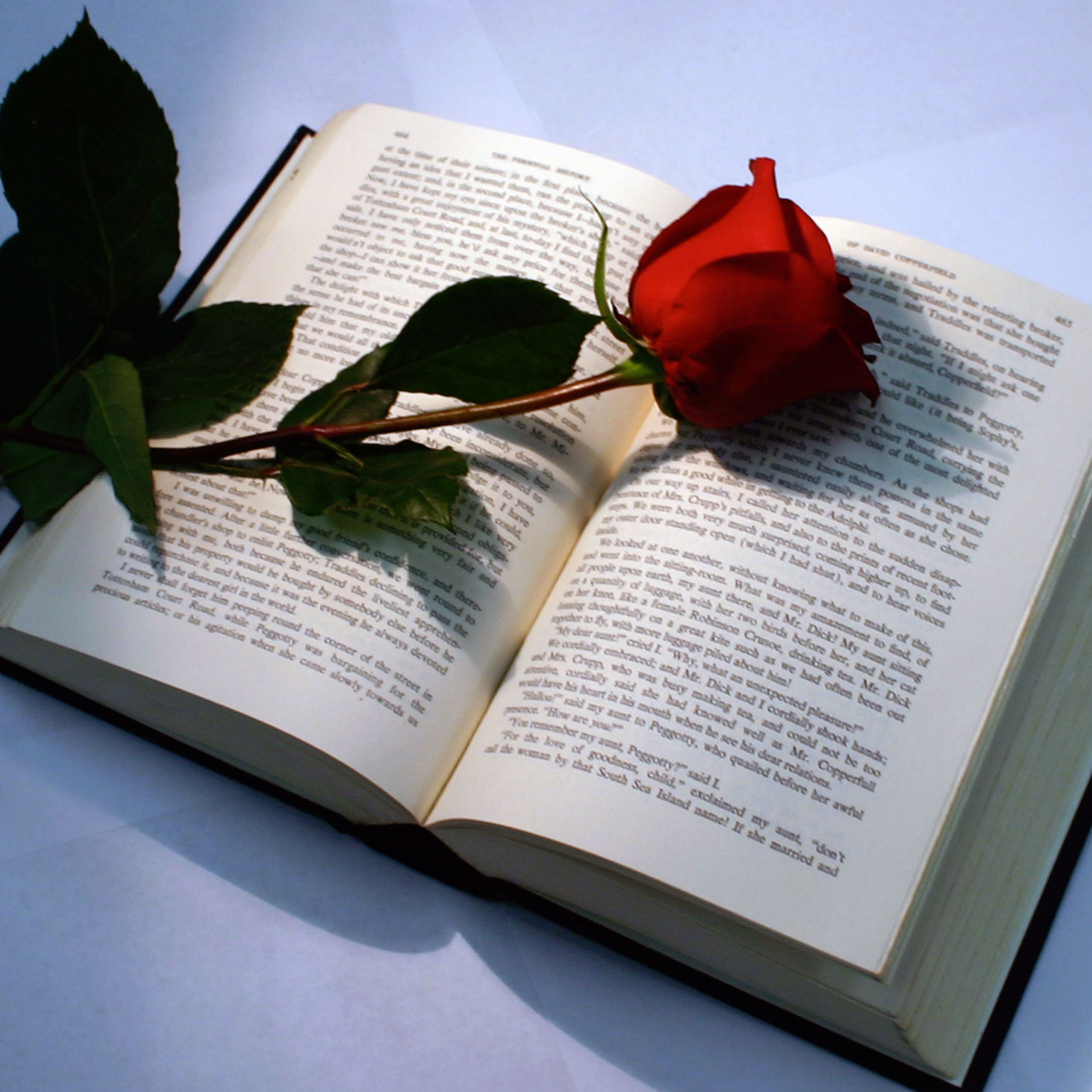 Проза. Роза на книге. Раскрытая книга. Люблю книги. Раскрытые книги с цветами.