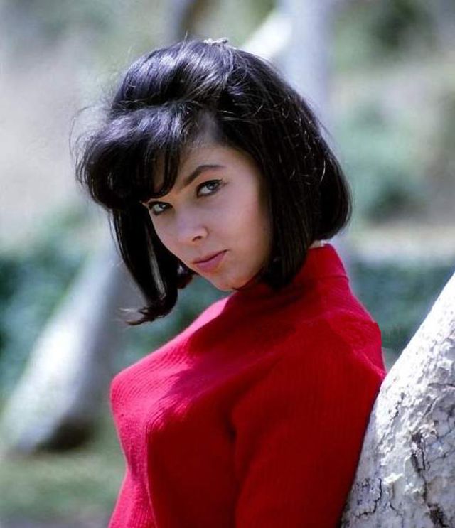 30 Wonderful Color Photographs of a Young and Sexy Yvonne Craig in the