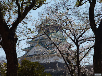 大阪城と桜 大阪城と桜