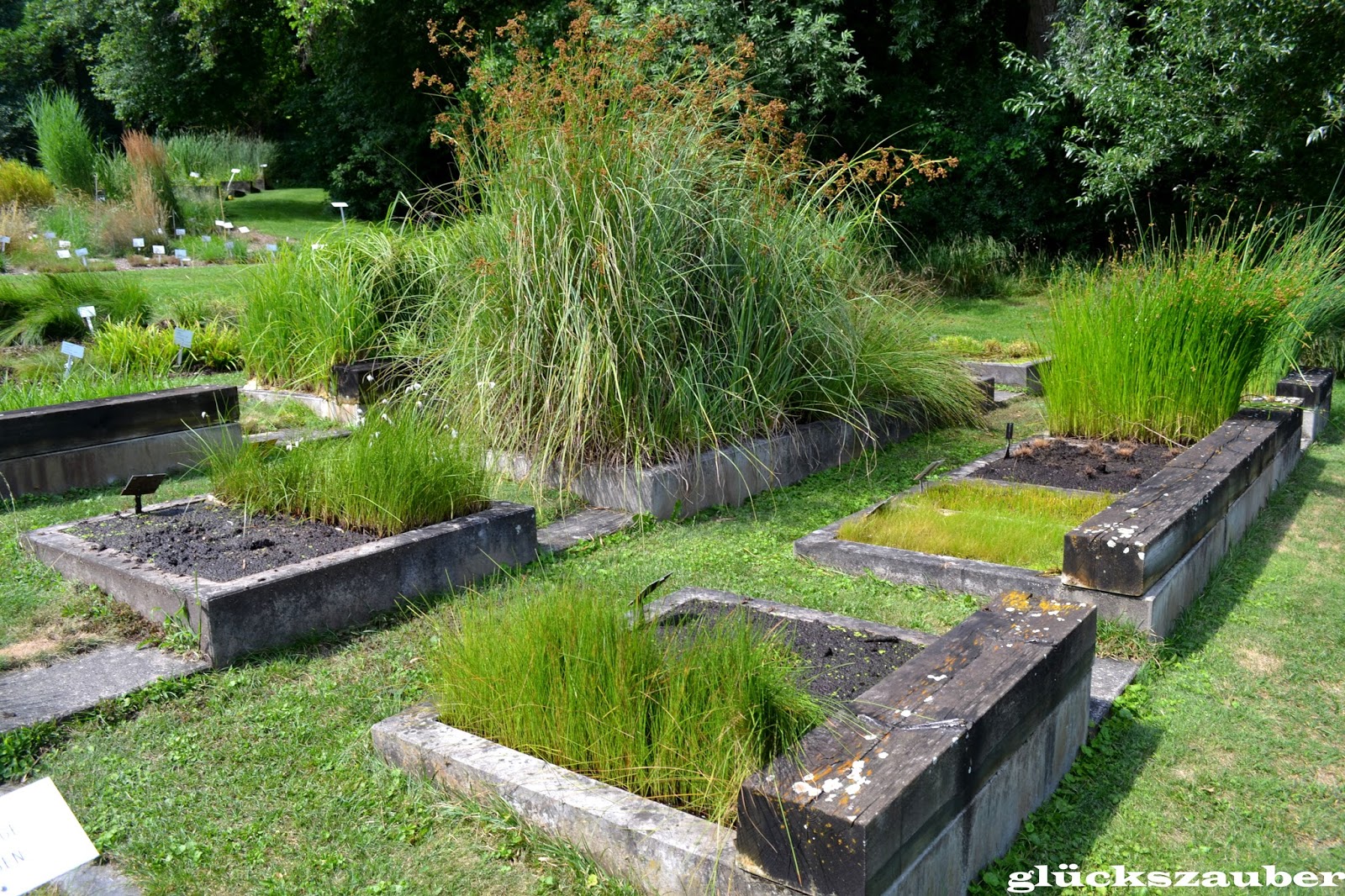glückszauber Botanischer Garten Regensburg