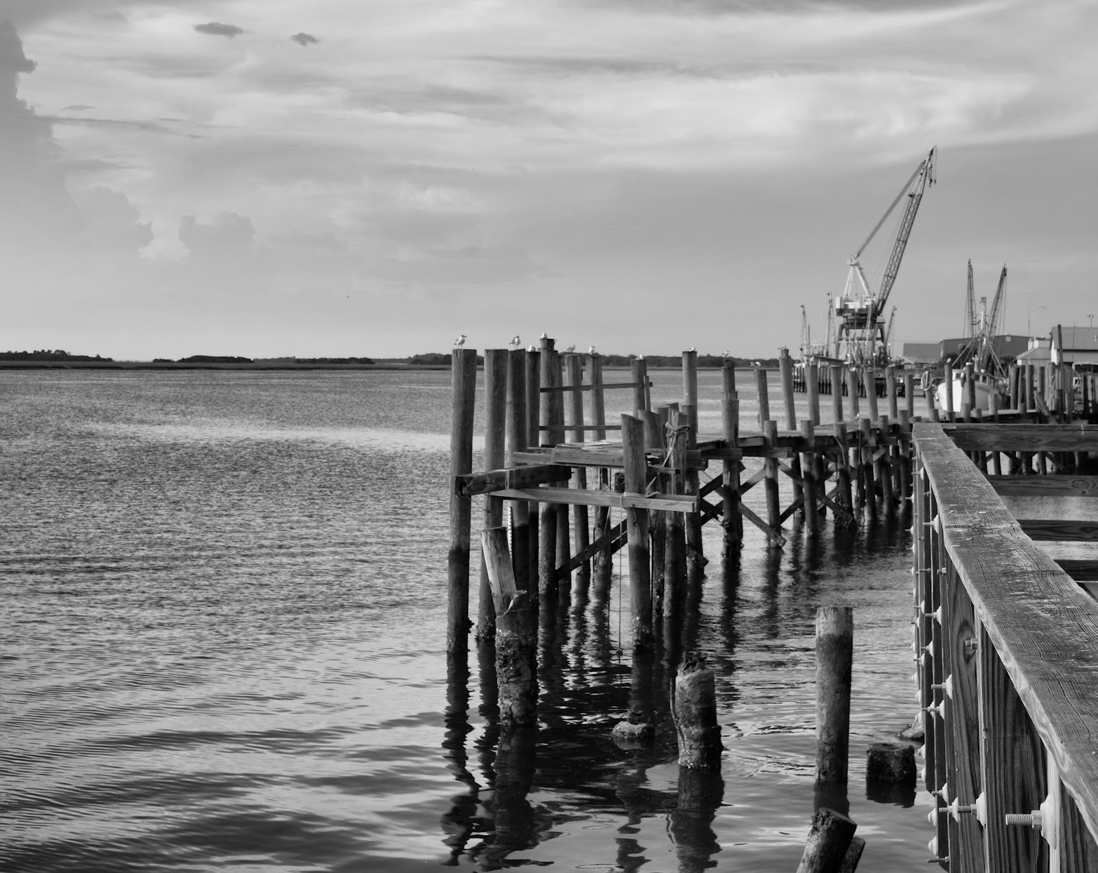 Under the Sands of Amelia Views of Amelia Island 120902