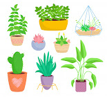 Unit 6. Plants