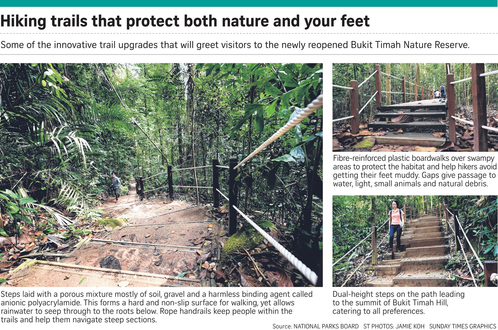 If Only Singaporeans Stopped to Think: Bukit Timah Nature Reserve to shut  for repairs; Reopens after $14m revamp in October 2016