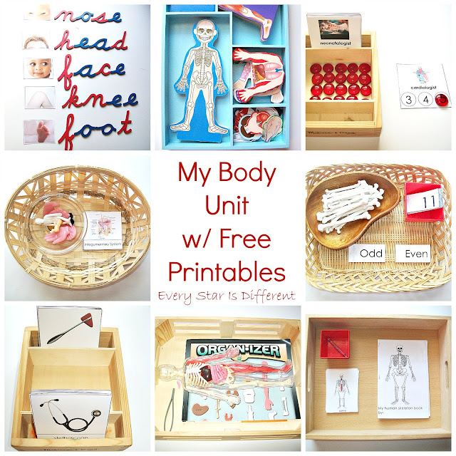 My body unit with free printables