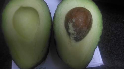 Makanan yang Mengandung Vitamin A
