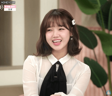 새로 취직한 위키미키  최유정