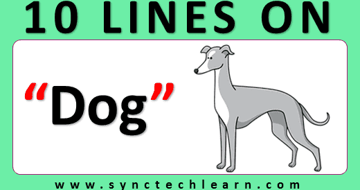10 lines on Dog in English for class 2 - Few lines about Dog