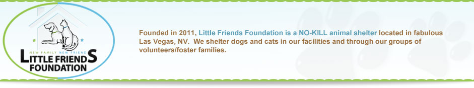 Little Friends Foundation - Las Vegas