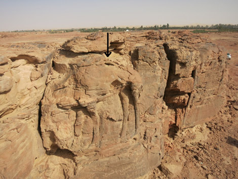 Representaciones de dromedarios en farallones rocosos en el noreste de Arabia Saudí. Foto: CNRS/MADAJ, R. Schwerdtner Representaciones de dromedarios en farallones rocosos en el noreste de Arabia Saudí. Foto: CNRS/MADAJ, R. Schwerdtner