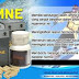 AMNE Asam Amino Evolution