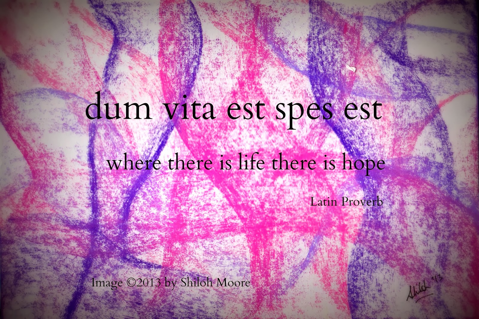 Vitae est. Dum Vita est. Talis est Vita. Where there is Life there is hope. Dum Vita est Spes est перевод на русский с латыни.