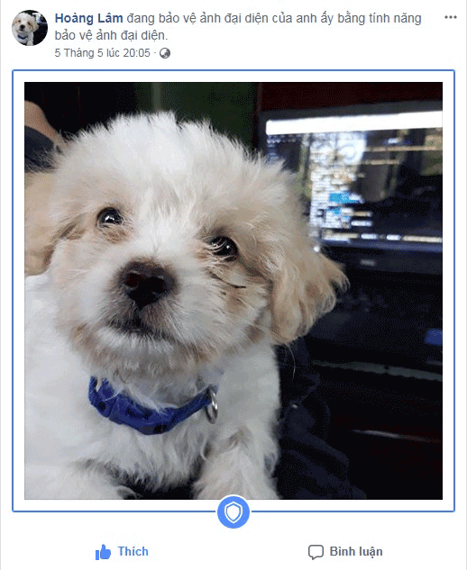 Hướng Dẫn Cách Bất Khiên Avatar Facebook Cho Ních Chính 2018 hướng dẫn cách bật khiên avatar facebook 2018, cách bật khiên ảnh đại diện cho facebook 1s