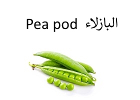 البازلاء : Pea pod