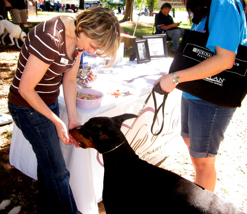 Lap of Love Veterinary Hospice Lap of Love supporting cancer research