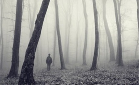 Penpal - 1000 Vultures (Série Completa) Penpal,1000 Vultures, Creepypastas