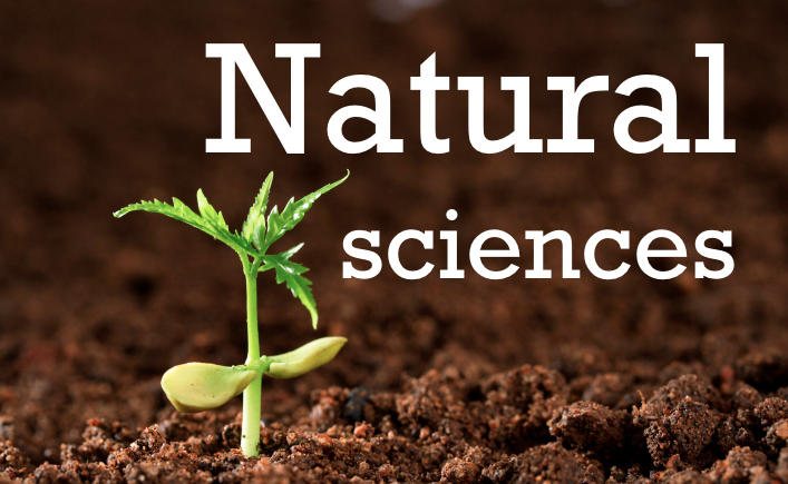 Natural Science Scholarships 2020