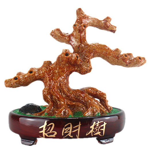 Cây kim tiền ở Thanh Trì Cay kim tien o Thanh Tri