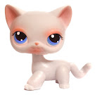 Littlest Pet Shop Portable Pets Cat Shorthair (#64) Pet