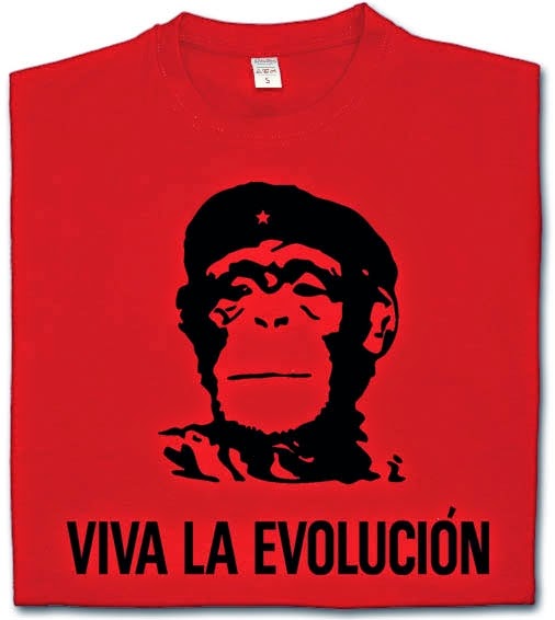 http://www.miyagi.es/camisetas-de-chico/camiseta-viva-la-evolucion