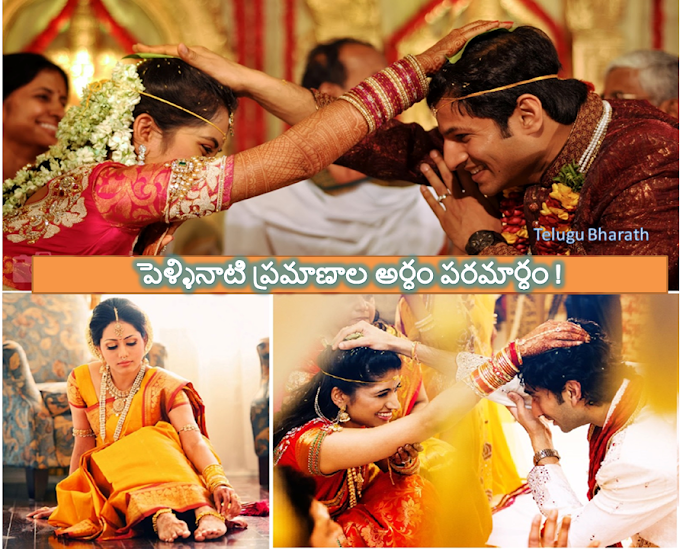 హిందూ వివాహ వేడుక, అర్ధం, పరమార్ధం - Hindu wedding ceremony, meaning, connotation