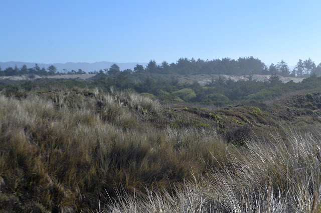 grassy hills