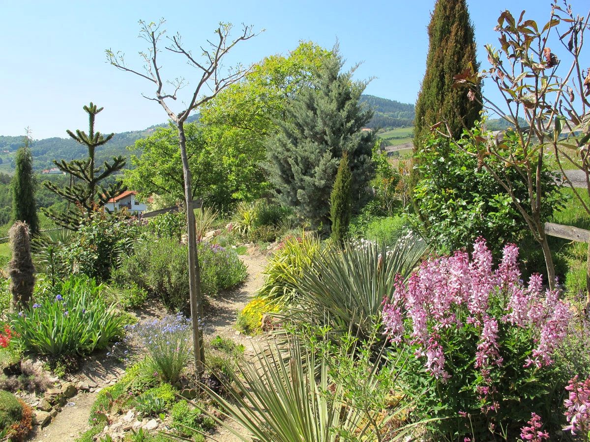 Der Wüstengarten: Ein besonderer Garten in der Steieremark