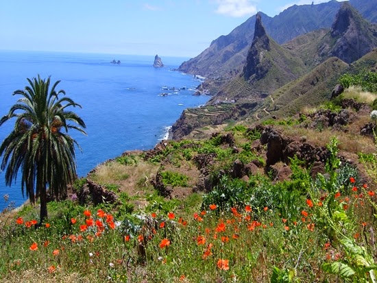 Escala en Tenerife, un mar de sensaciones Anaga+Echeyde+Tours