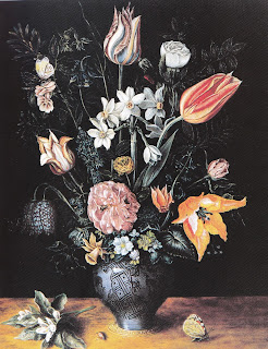 Fiore Tucci schizza