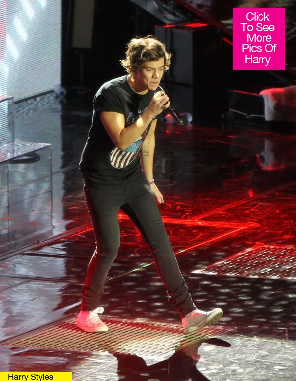 AshBuzz Harry Styles Throws Up On Stage At 1D Pittsburgh Concert