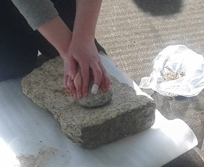 Ancient Food and Farming Grinding of cereals using quern stones