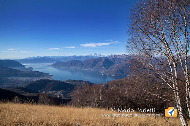 Panorama lago Maggiore Panorama lago Maggiore