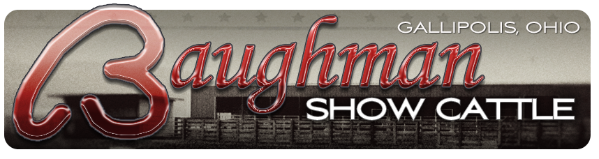 Baughman Show Cattle