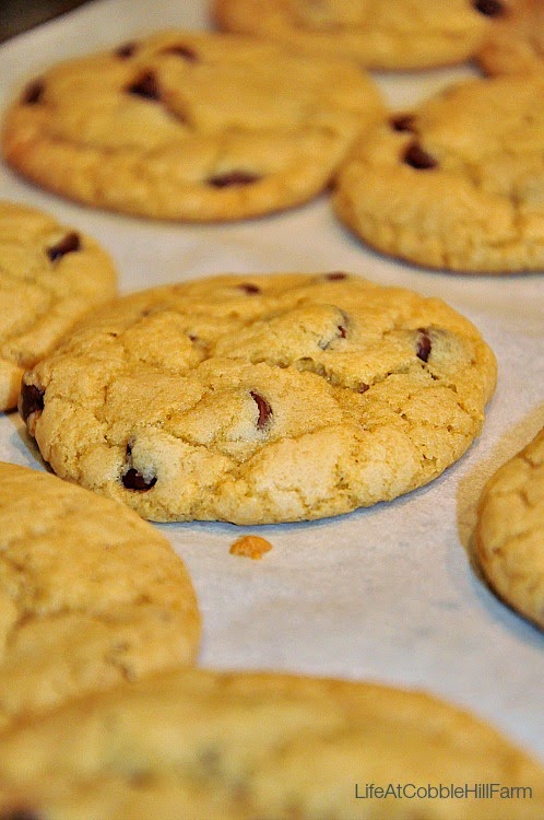 America S Test Kitchen Perfect Chocolate Chip Cookie America S Test Kitchen Perfect Chocolate Chip Cookie