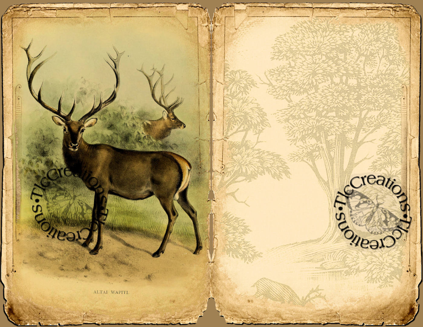 Create with TLC: Fawned of Deer, Vintage Printable Junk Journal Kit...
