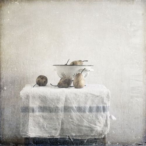 Slow living still life with a calm serene vibe - found on Hello Lovely Studio